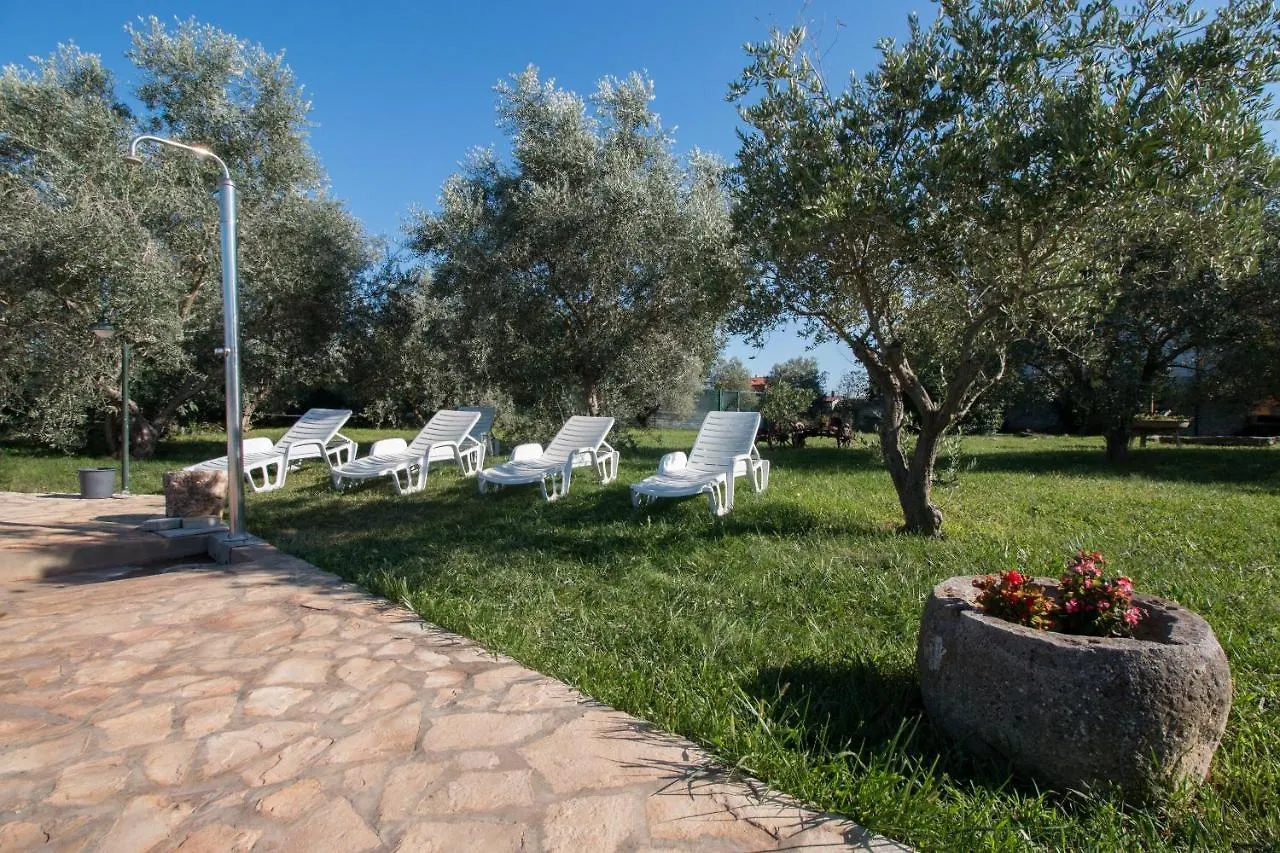 Wine House Apartments & Rooms Marceta Croatia